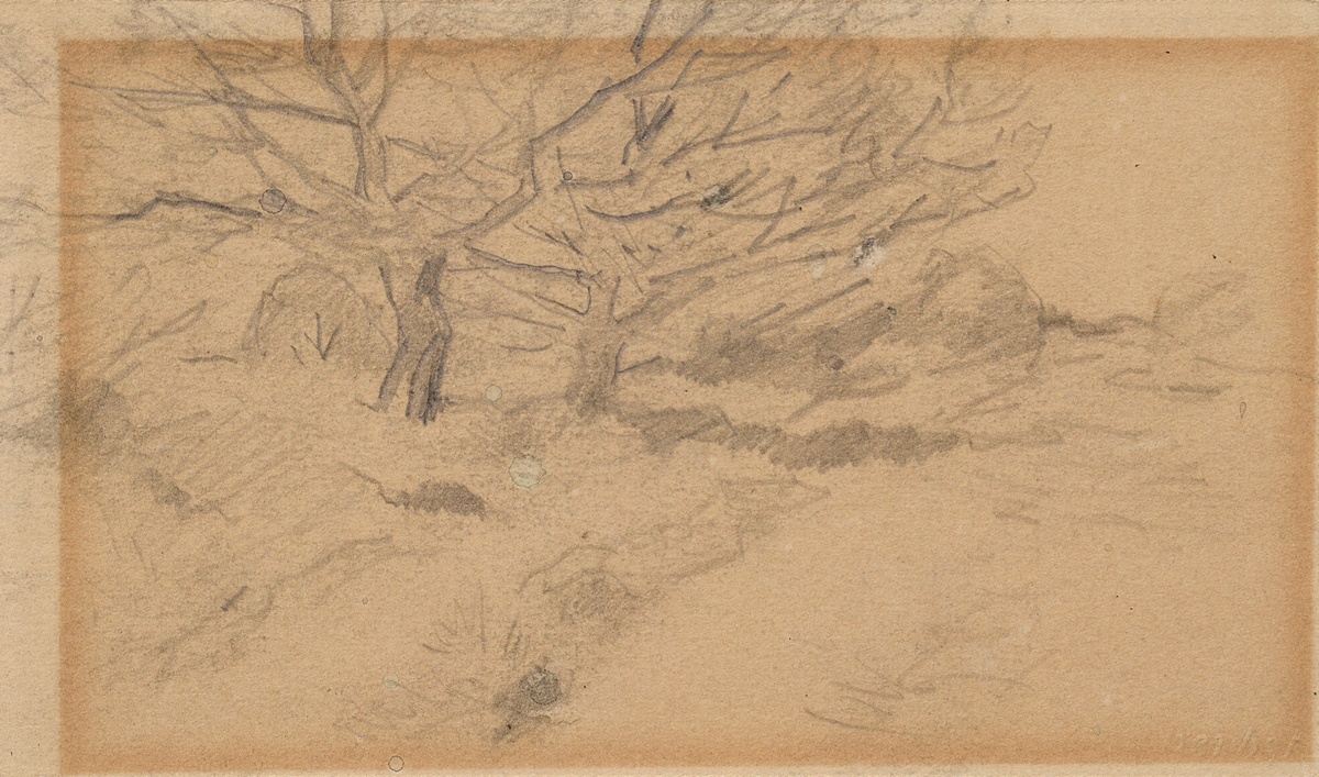 Herbst, Thomas (1848-1915) "Waldskizze", Bleistift, u.r. Prägestempel/ Nachlass, verso bez., 10x16,