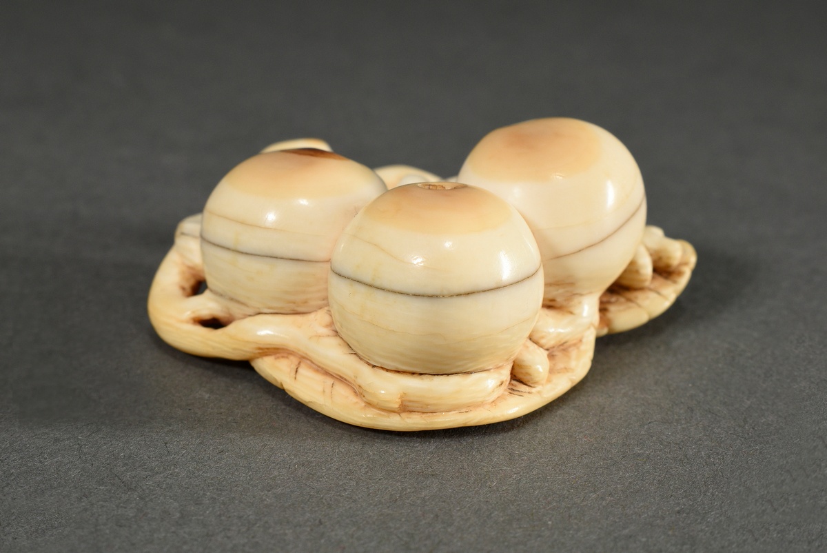 Ivory netsuke ‘Mouse between medlars’, inlaid carnelian eyes, Japan 19th century, 2x4x4cm, lovely p - Image 2 of 6