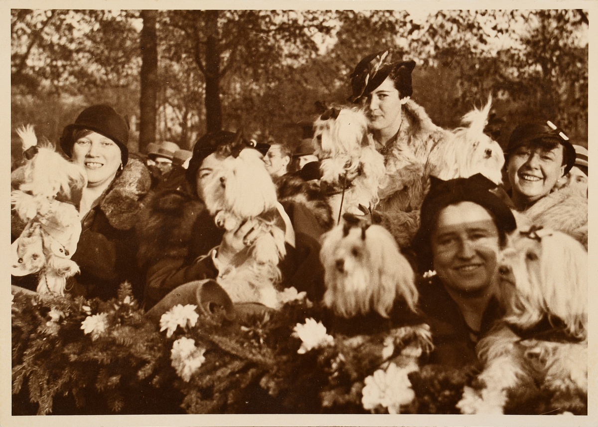 Schorer, Joseph (1894-1946) 'Dog Breed Show', photograph, mounted on cardboard, inscr. below, verso