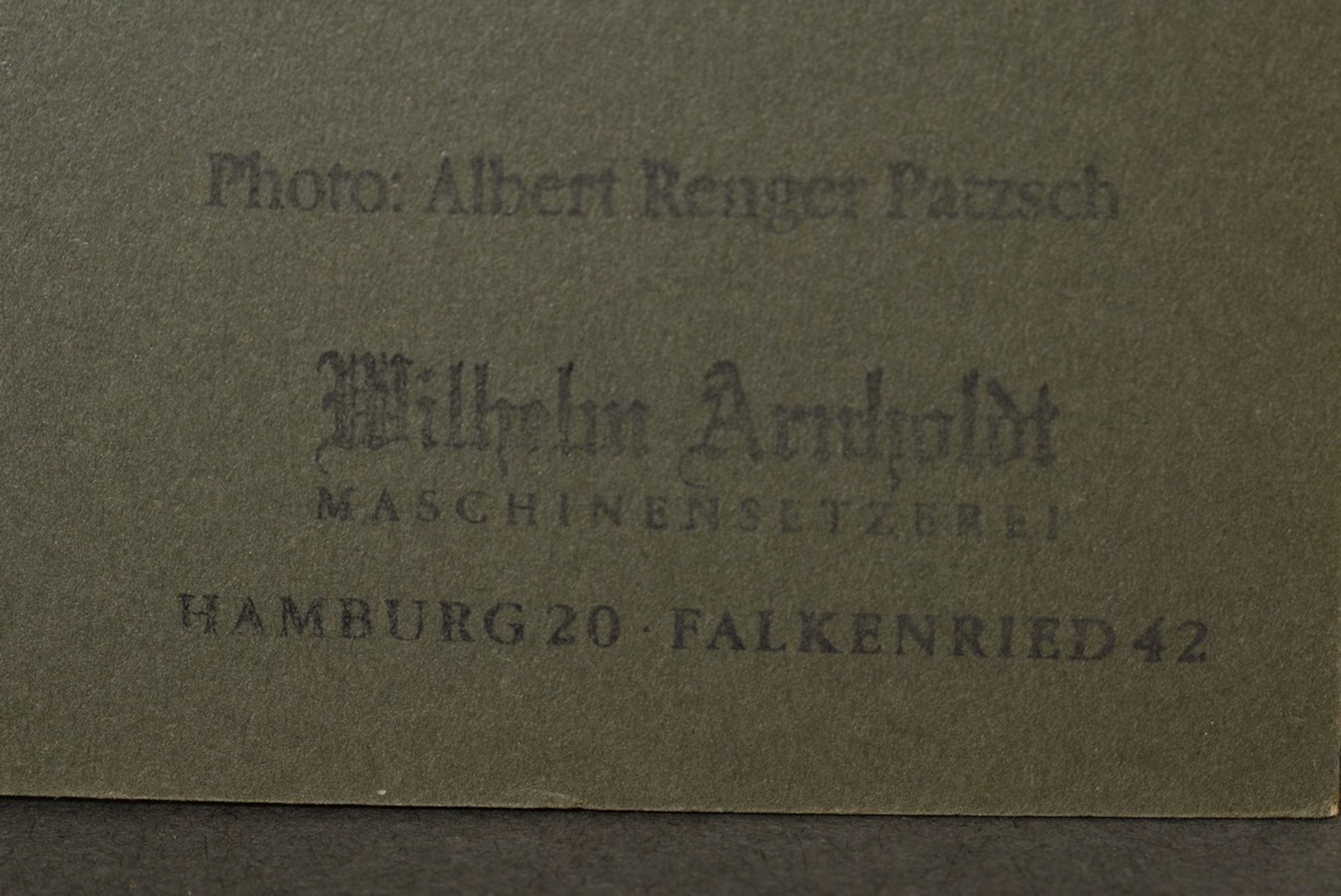 Renger-Patzsch, Albert (1897-1966) 'Plant study' (Aloe), photograph mounted on cardboard, verso sta - Image 3 of 3