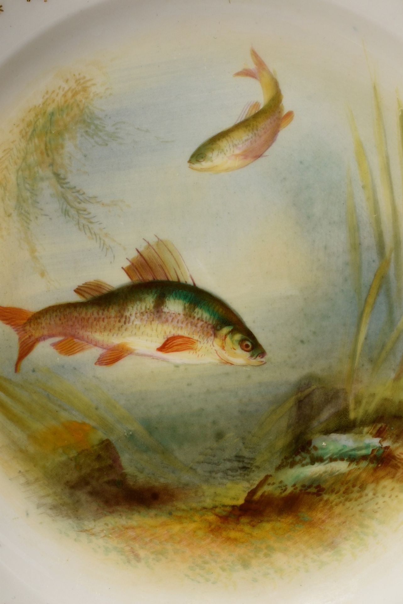12 Englische Crescent & Sons Fischteller mit verschiedenen lupenfeinen Motiven: "Codfish, 2xTench,  - Bild 4 aus 8