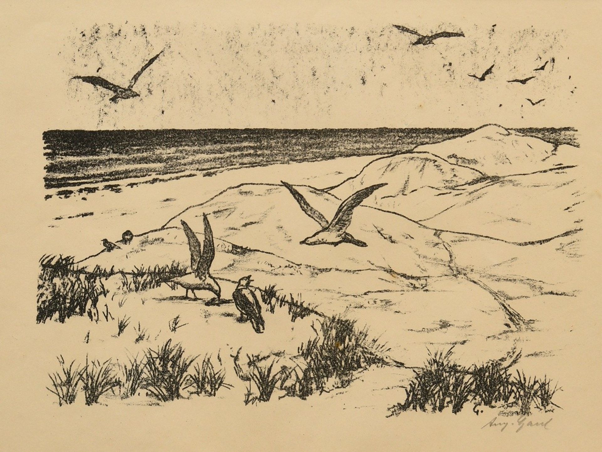 3 Gaul, August (1869-1921): "Fressender Bär" und "Möwen am Strand", Lithographien, je u.r. sign. un - Bild 12 aus 12