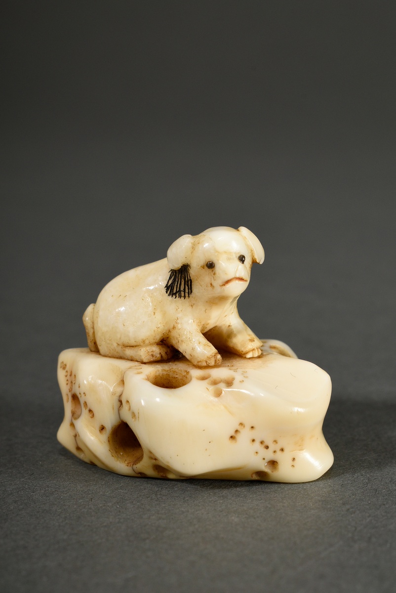 2 Various pieces of stag horn netsuke and animal tooth ojime: ‘Puppy on holey rock’ with inlaid hor - Image 2 of 10