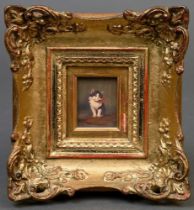 Unknown artist c. 1900 "Kitten with bow", oil/wood, magnificent frame, 6.2x5.1cm (w.f. 20x19cm), Co