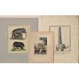 3 Various copper engravings ‘Elephants’: 1x from Mœurs et coutumes des peuples, 1811-1814; 1x after