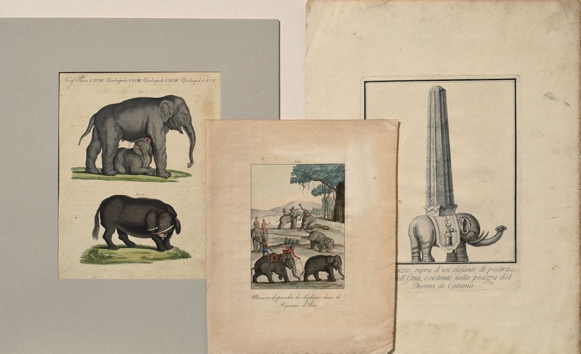 3 Diverse Kupferstiche "Elefanten": 1x aus Mœurs et coutumes des peuples, 1811-1814; 1x nach der Sk