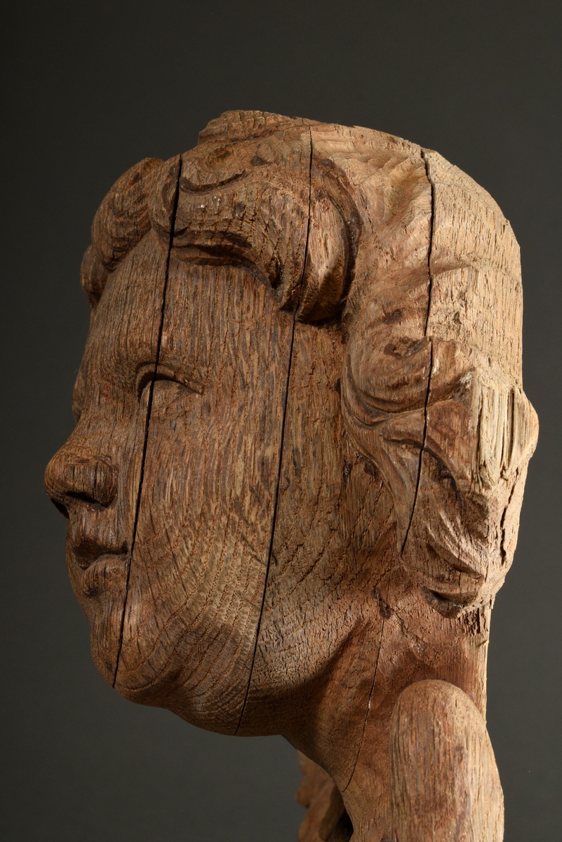 Large angel's head with curved wing carved in bas-relief, unfinished oak, North German 18th century - Image 5 of 6