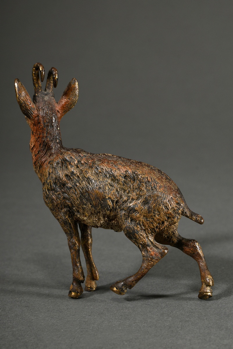 Wiener Bronze "Gamsbock", um 1900, naturalistisch bemalt, unsigniert, 9,3x8,5cm, Provenienz: Nordde - Bild 2 aus 4