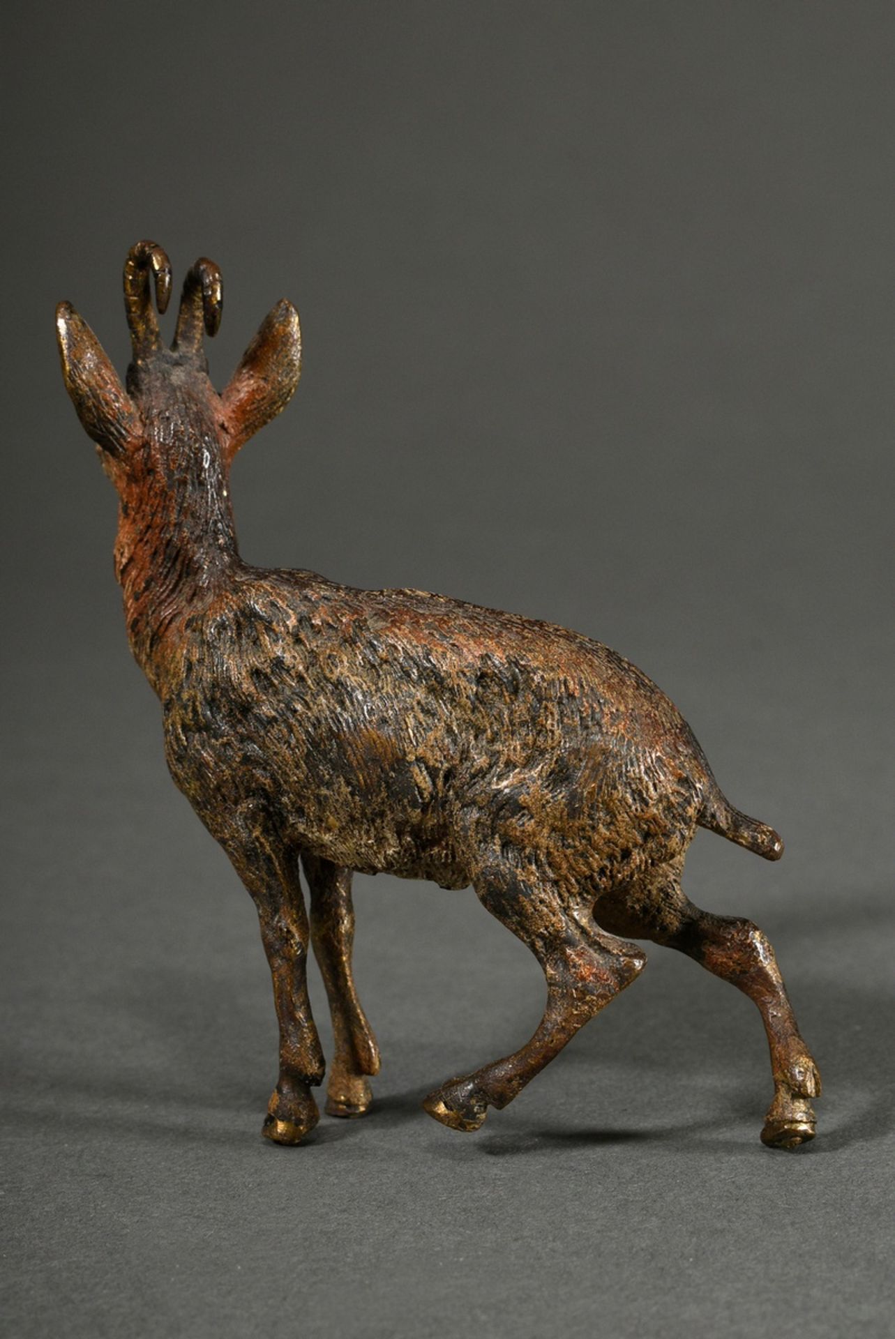 Viennese bronze "Gamsbock", approx. 1900, naturalistically painted, unsigned, 9.3x8.5cm, Provenance - Image 2 of 4