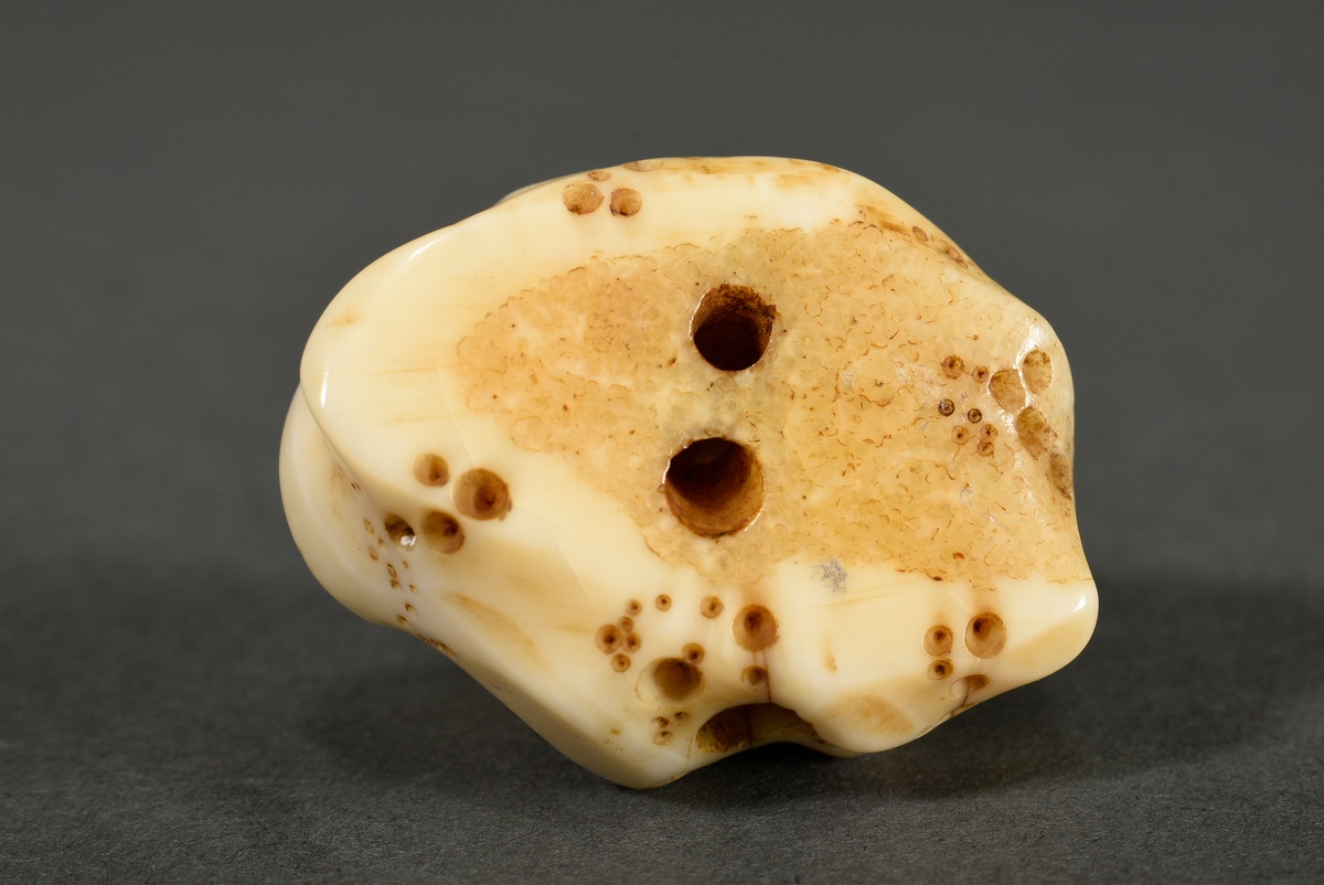 2 Various pieces of stag horn netsuke and animal tooth ojime: ‘Puppy on holey rock’ with inlaid hor - Image 6 of 10