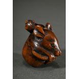 Boxwood netsuke "Round rat with young", inlaid horn eye (1 missing), beautiful patina, Japan 19th c