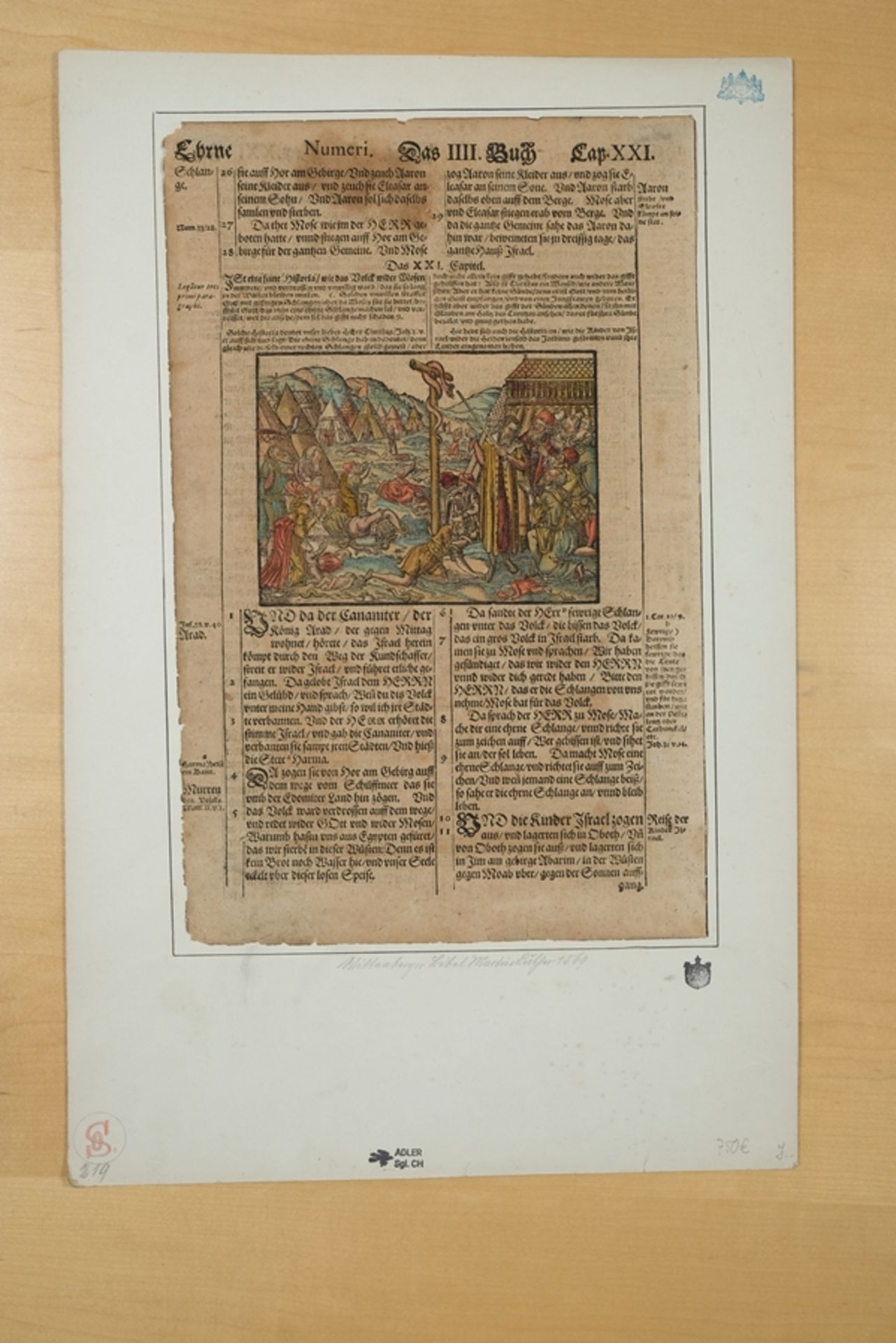 Wittenberg Bible woodcut, Martin Luther 1569, old coloured sheet on both sides. - Image 2 of 4