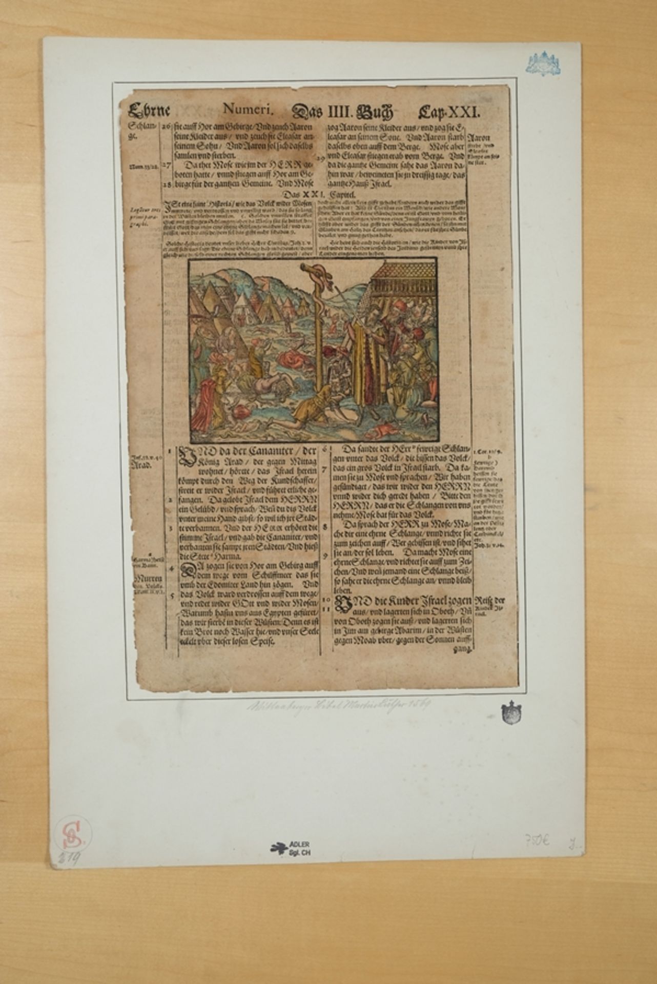 Wittenberger Bibelholzschnitt, Martin Luther 1569, altkoloriertes beidseitiges Blatt. - Bild 2 aus 4
