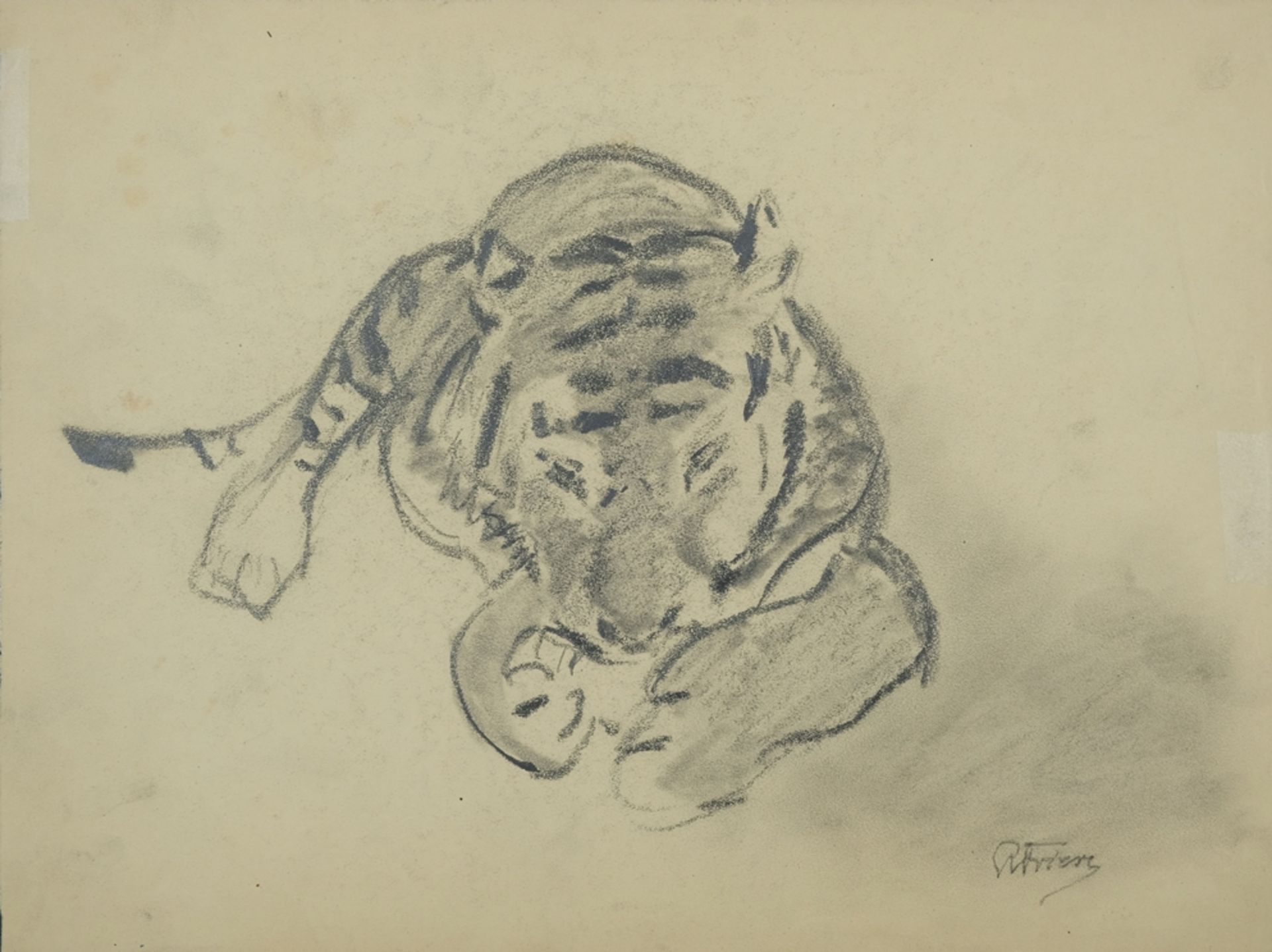 Friese, Richard Bernhard Louis (1854-1918) Fressender Tiger, Bleistift auf Papier. 