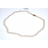 Pearl necklace, with over 60 pearls, individually knotted, clasp 585 yellow gold, hallmarked, L 52 