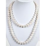 Long cultured pearl necklace, 100 white, very beautiful and uniform cultured pearls, endless, indiv
