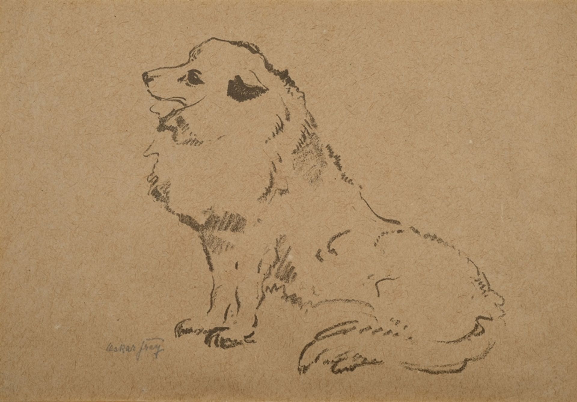 Frey, Oskar (1883-1966) Spitz, Lithographie auf Papier. Ein sitzender Spitz von der Seite.