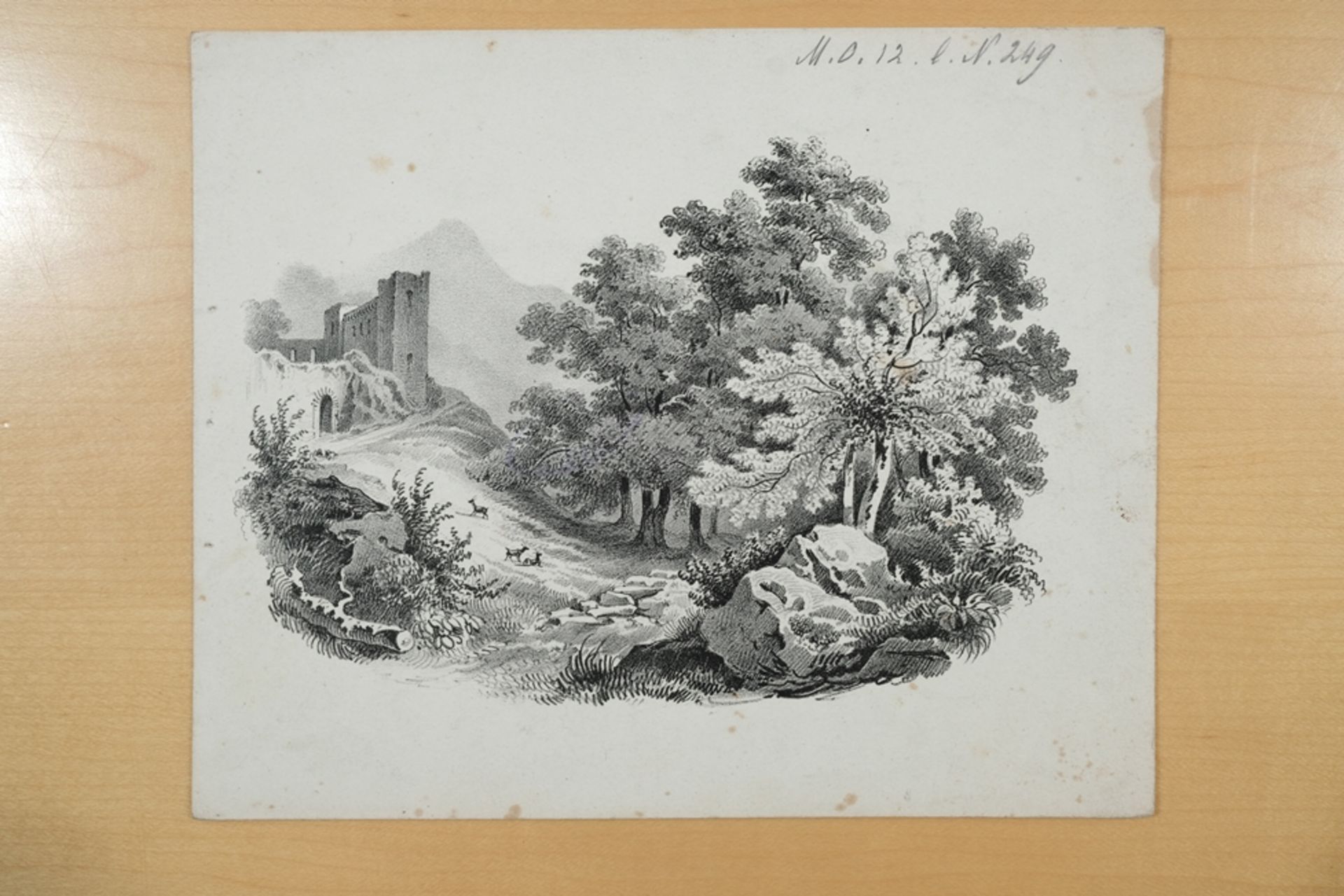 Baumhauer, Mathias (um 1810-1870), Landschaften, neun Lithografien. Darstellung verschiedener Lands - Bild 4 aus 8