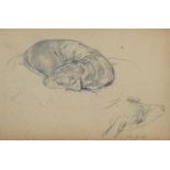 Gaul, Georg August (1869-1921) Dog Study, pencil drawing on paper. 