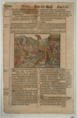 Wittenberger Bibelholzschnitt, Martin Luther 1569, altkoloriertes beidseitiges Blatt.