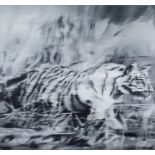 Richter, Gerhard (born 1932) Tiger, after the painting from 1965, offset print on scooped paper. 