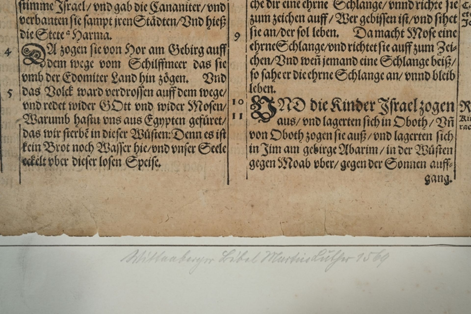 Wittenberger Bibelholzschnitt, Martin Luther 1569, altkoloriertes beidseitiges Blatt. - Bild 3 aus 4