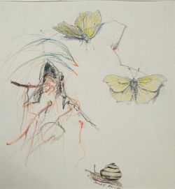 Unbekannt (20. Jahrhundert) Schmetterlinge und Schnecken, Farbzeichnung auf Papier. 