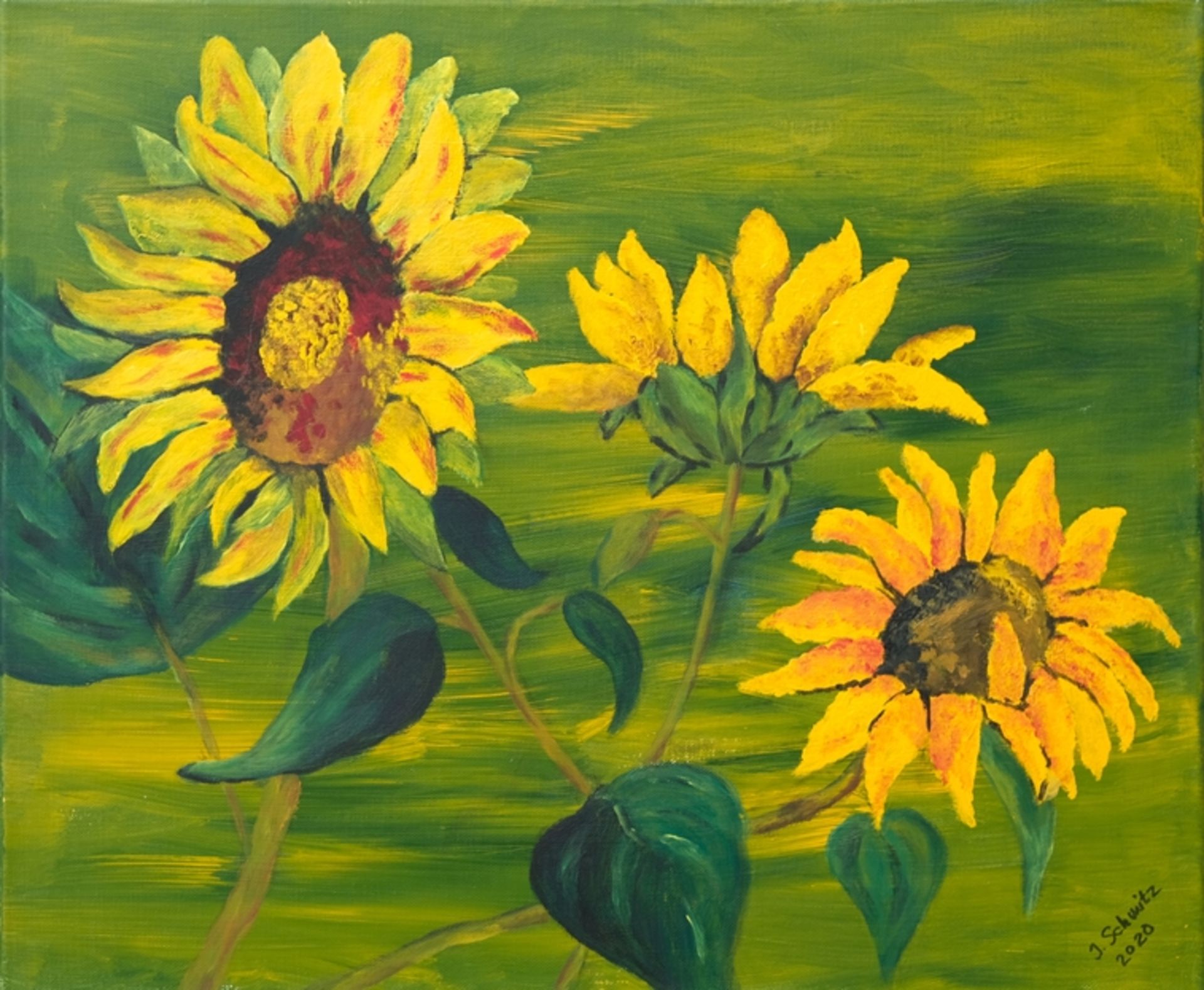 Schmitz, Inge (geboren 1948) Sonnenblumen, 2020, Acryl auf Leinwand. 