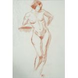 Groeber, Hermann (1865-1935) Standing female nude, red chalk drawing on paper. 