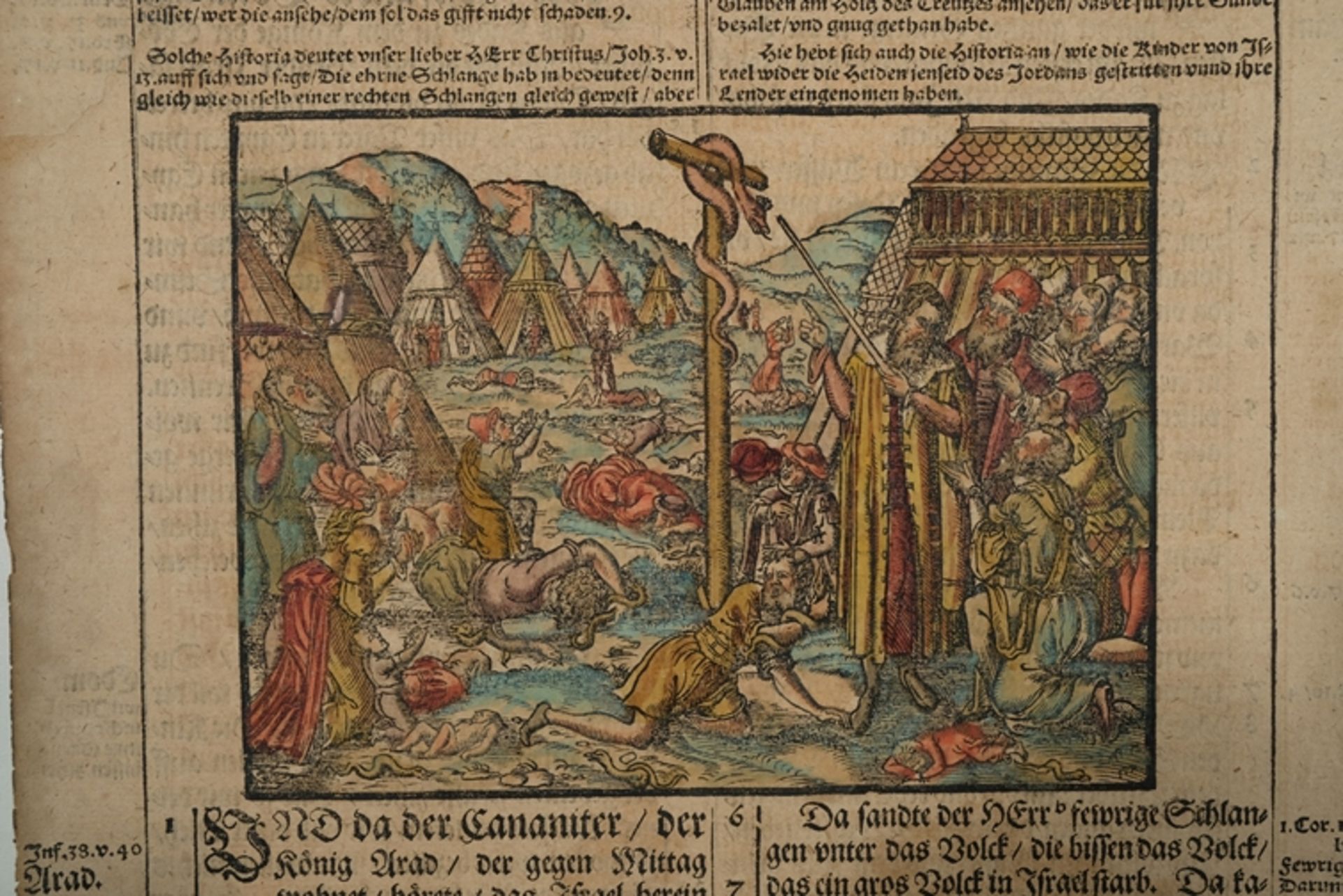 Wittenberger Bibelholzschnitt, Martin Luther 1569, altkoloriertes beidseitiges Blatt. - Bild 4 aus 4