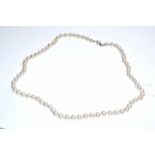 Perlenkette, mit über 70 Perlen, einzeln geknüpft, Verschluss 835 Silber, L 60 cm, 40g