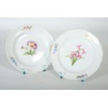 Two Meissen plates, hand-painted, flower motif, diameter 21cm; no chips