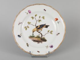 Teller mit Vogelmalerei, Blumen und Insekten; Meissen, Knaufschwerterzeit Weißporzellan mit