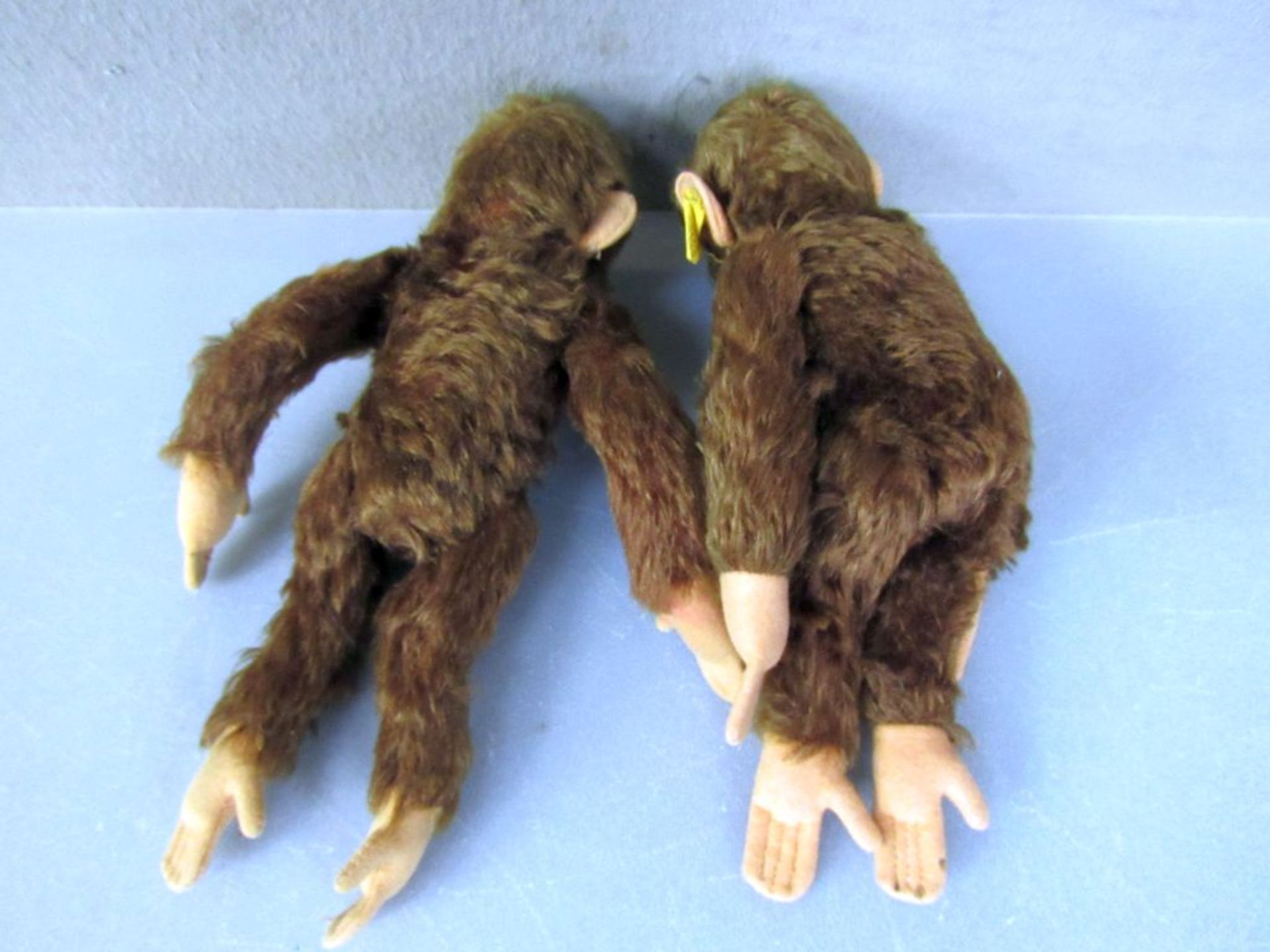 Zwei Steiff Schimpansen 25cm und 28cm - Image 7 of 9