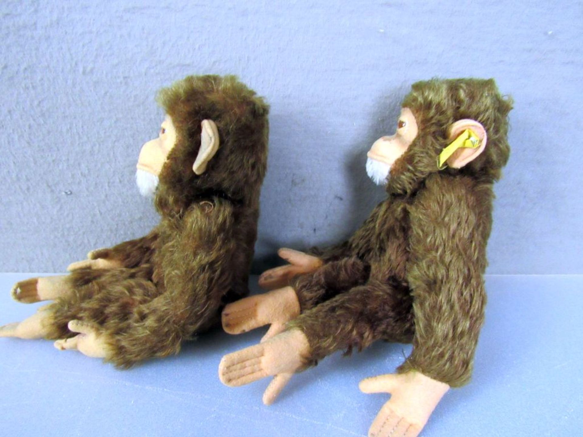 Zwei Steiff Schimpansen 25cm und 28cm - Image 6 of 9