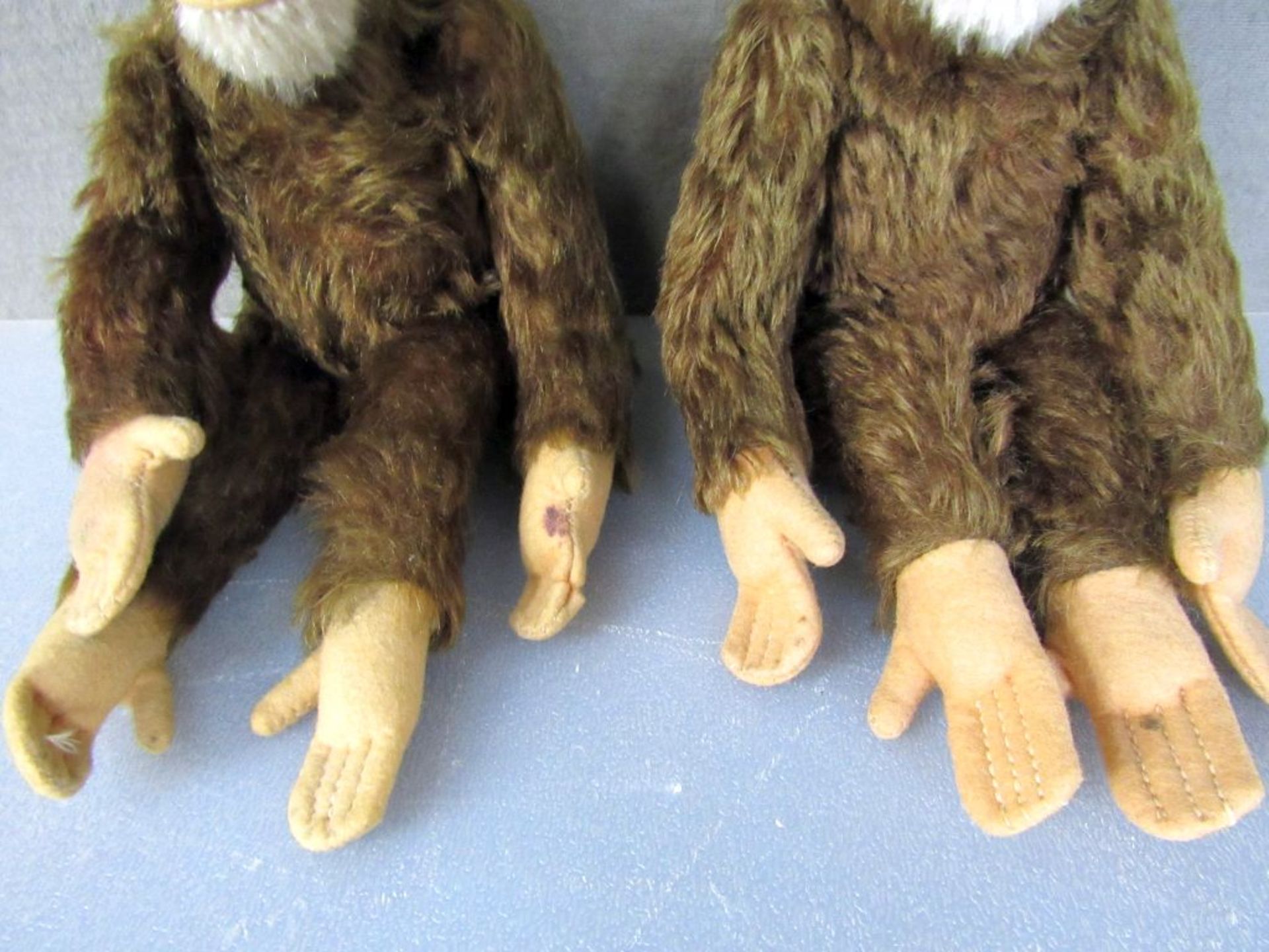 Zwei Steiff Schimpansen 25cm und 28cm - Image 5 of 9