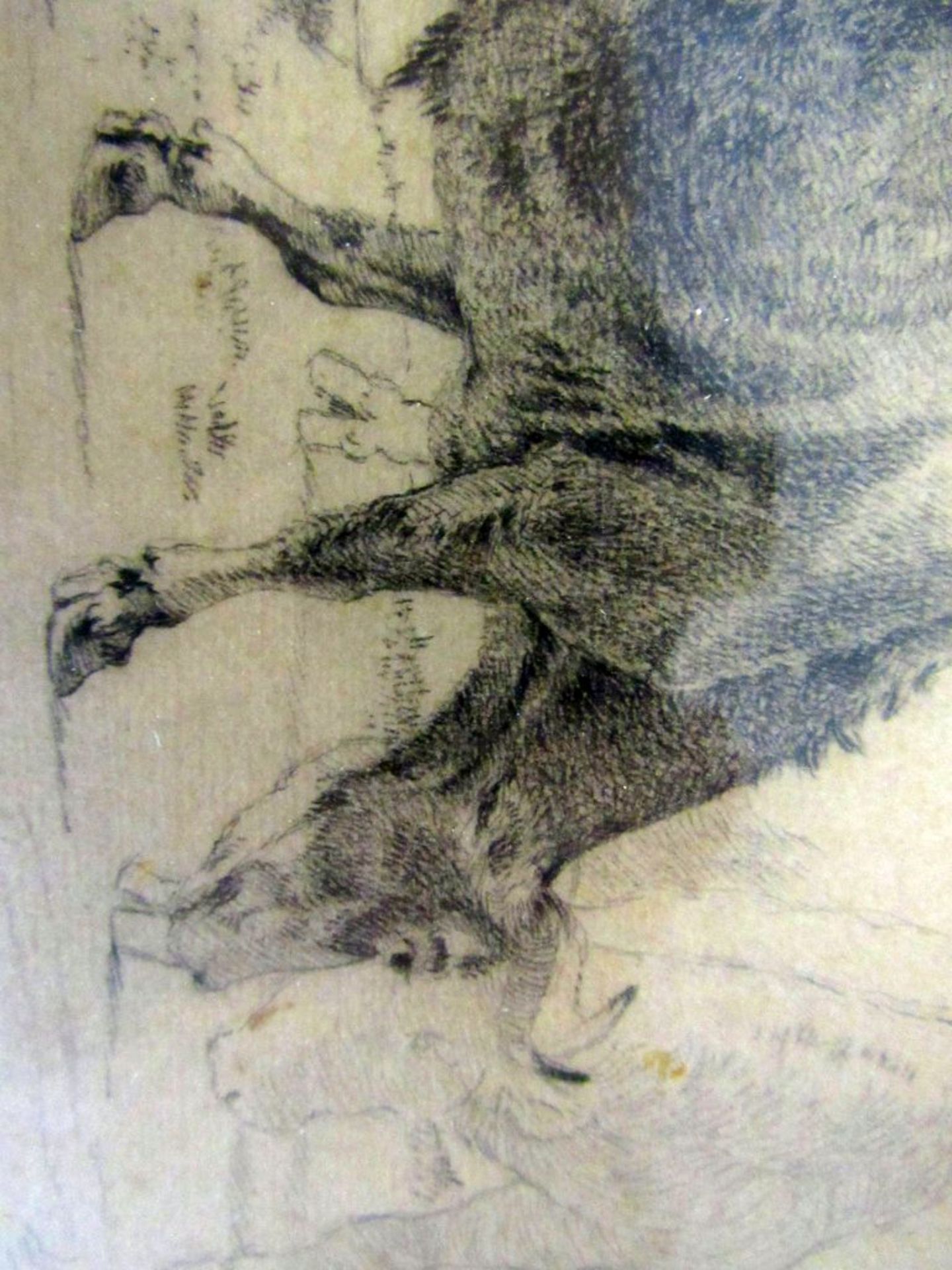 Zeichnung rÃ¼ckseitig betitelt Stiere - Image 4 of 7