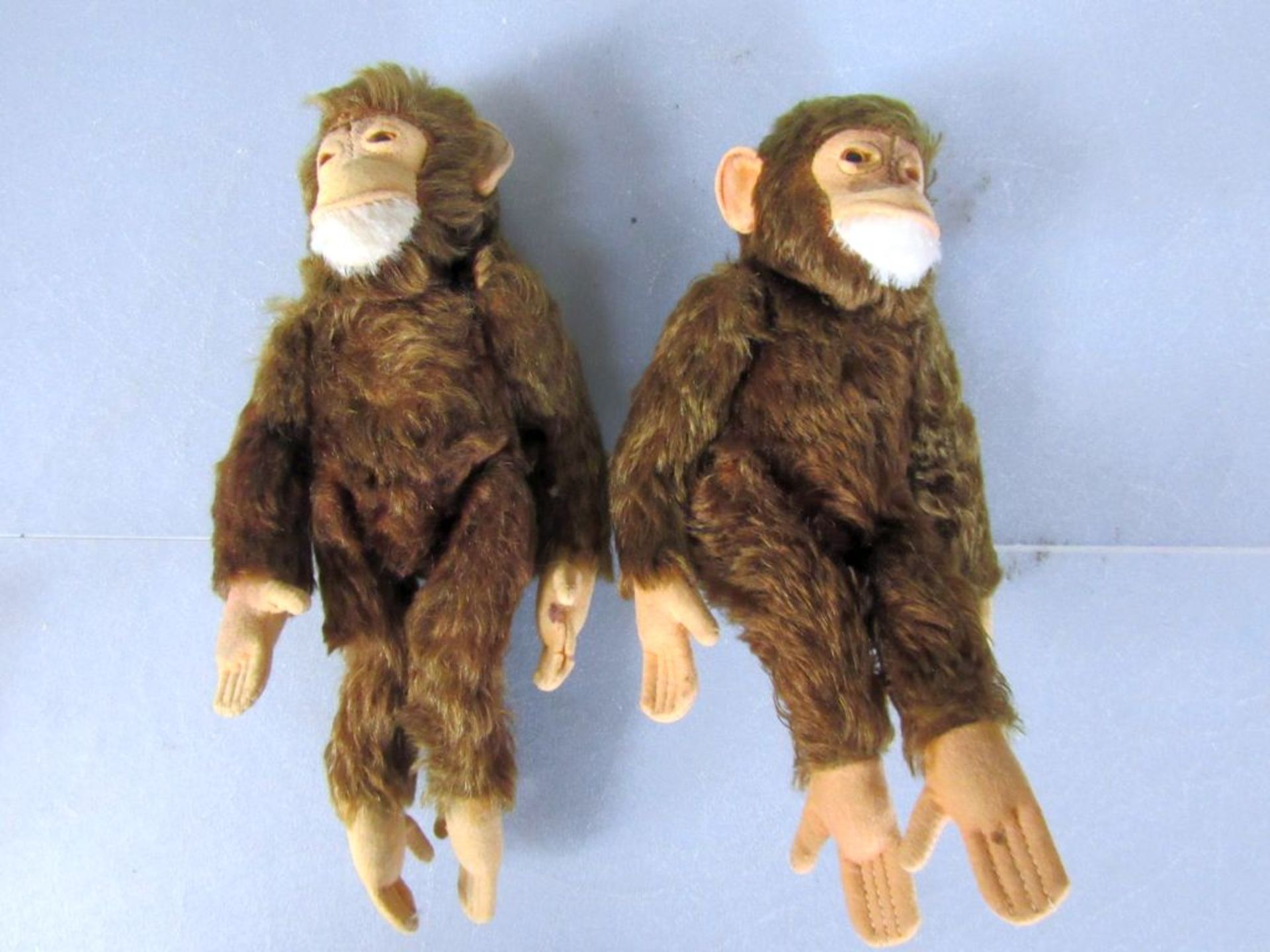 Zwei Steiff Schimpansen 25cm und 28cm - Image 9 of 9