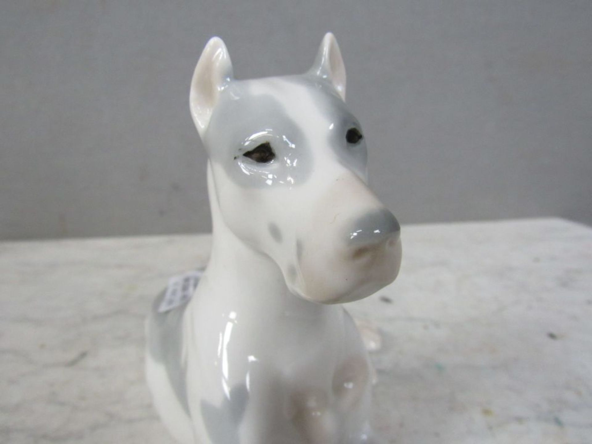 Porzellanfigur Hund Dogge gemarkt ca. - Bild 5 aus 10