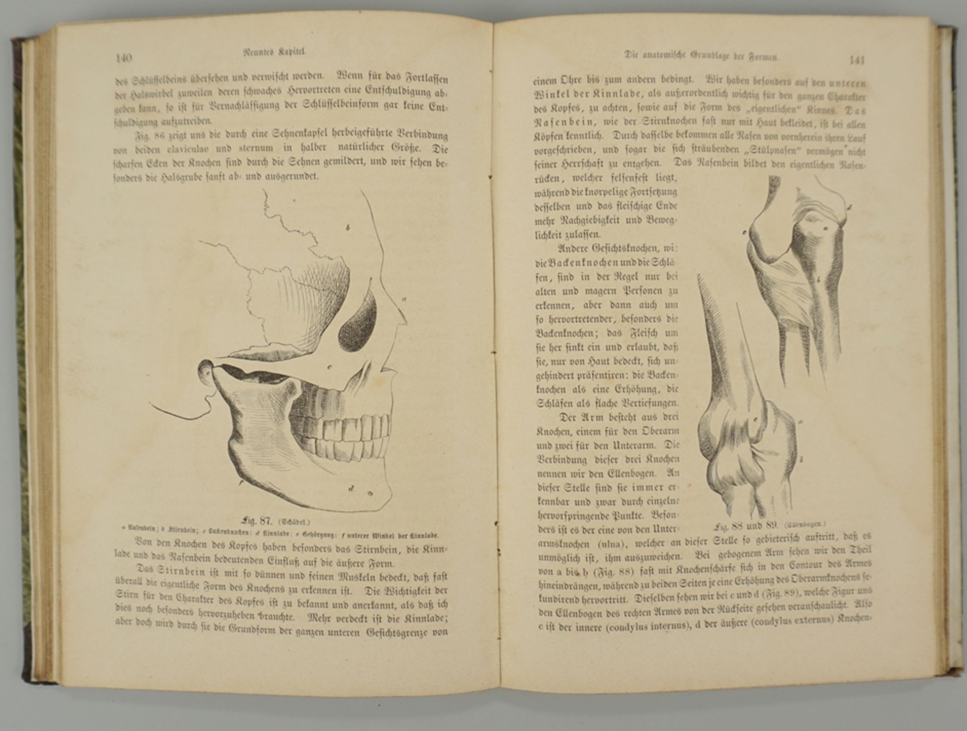 Das Zeichnen und der Zeichenunterricht, Carl Ehrenberg, Leipzig, 1869 - Bild 2 aus 3