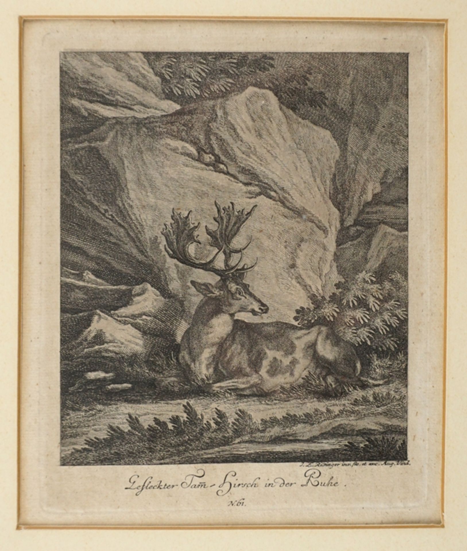 Johann Elias Ridinger (1698 Ulm - 1767 Augsburg), 2 Kupferstiche - Image 2 of 2