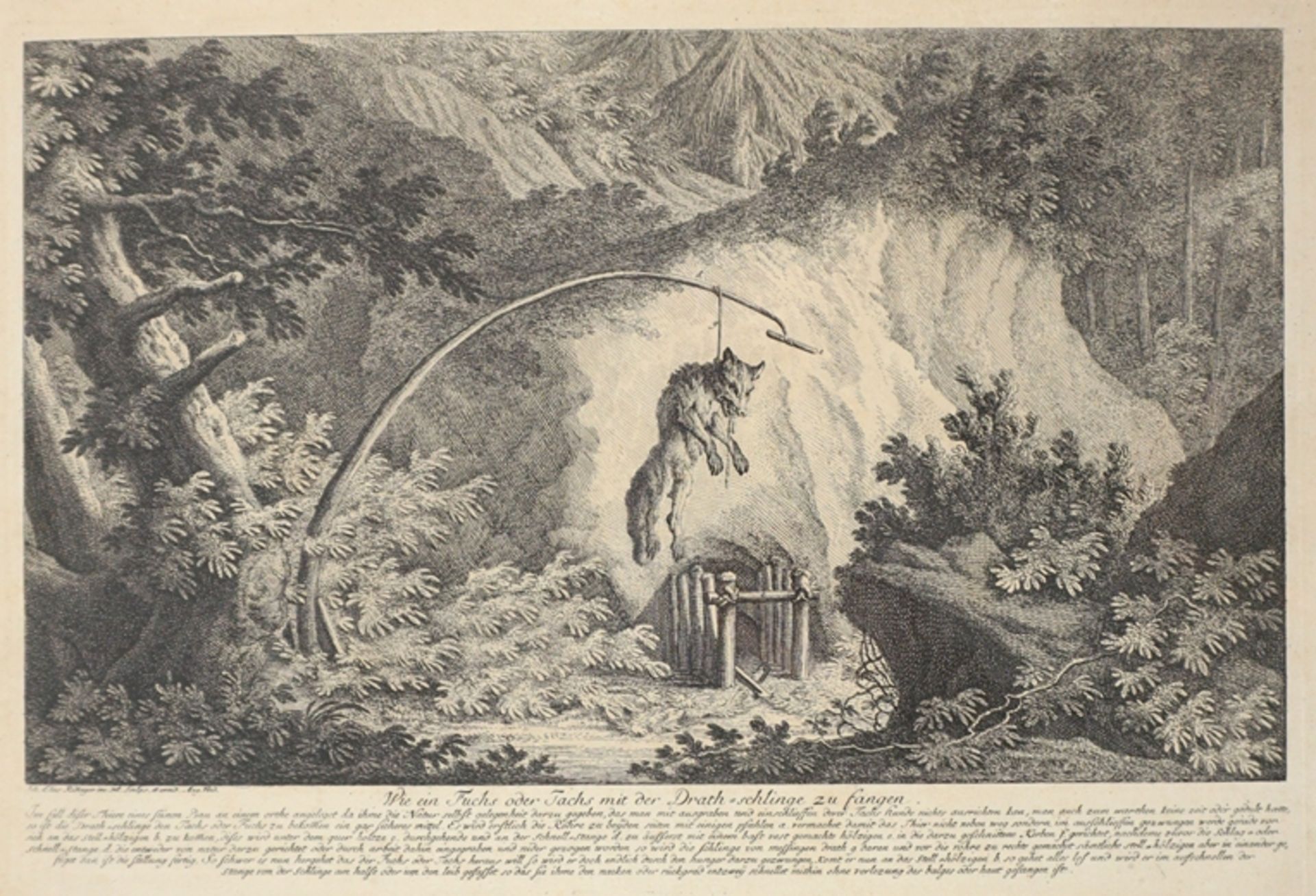 Johann Elias Ridinger (1698 Ulm - 1767 Augsburg), "Wie ein Fuchs oder Tachs mit der Drath-schlinge 