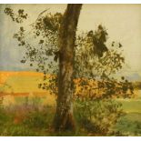 Achenbach, Oswald (1827 Düsseldorf -