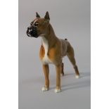 Hutschenreuther Boxerhund