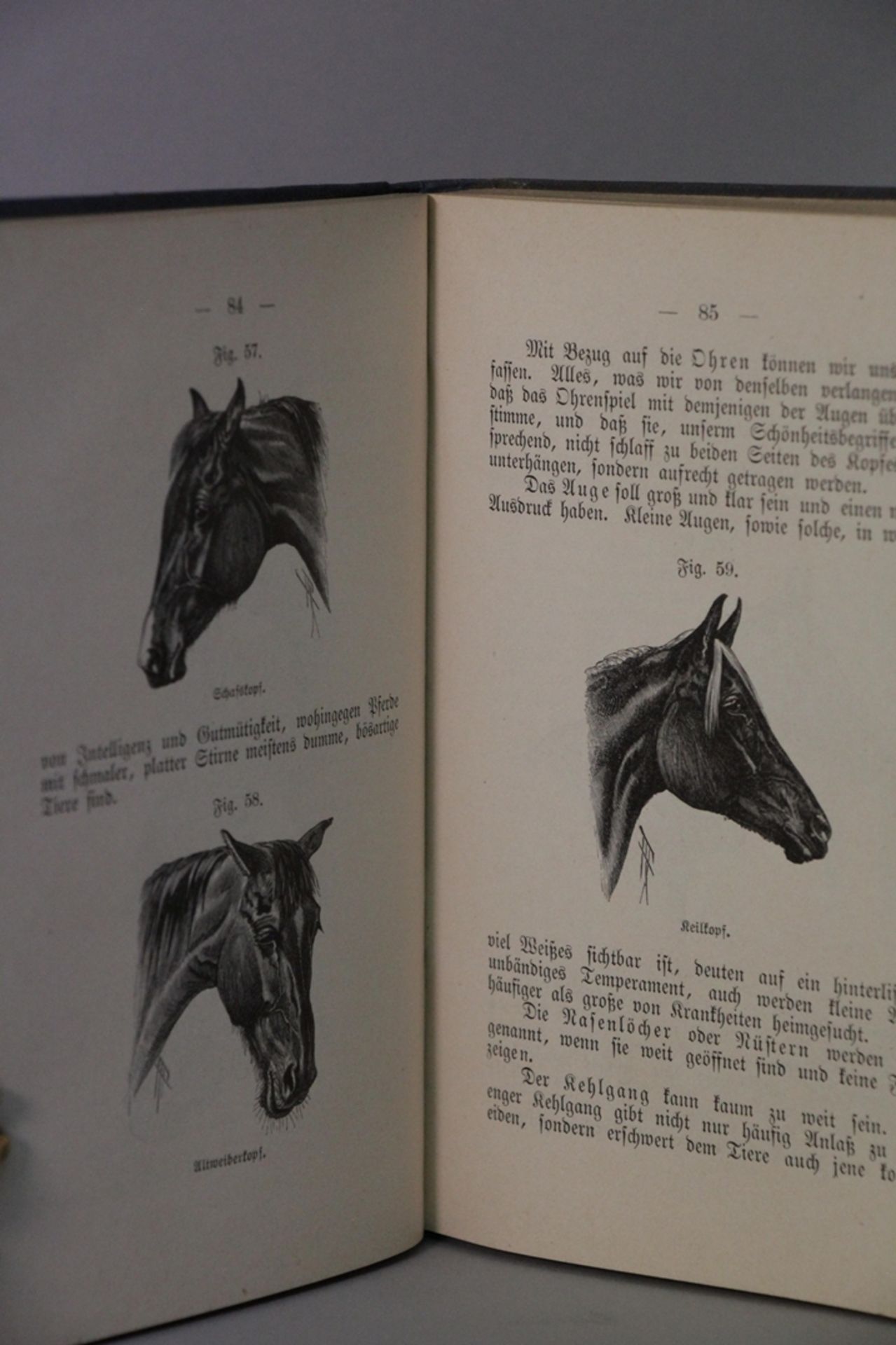 Taschenbuch des Kavalleristen - Bild 2 aus 2