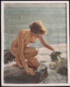 Unbekannter Künstler, Nackte Frau am Meeresufer mit Algen in der Hand, signiert, Öl/Lwd,