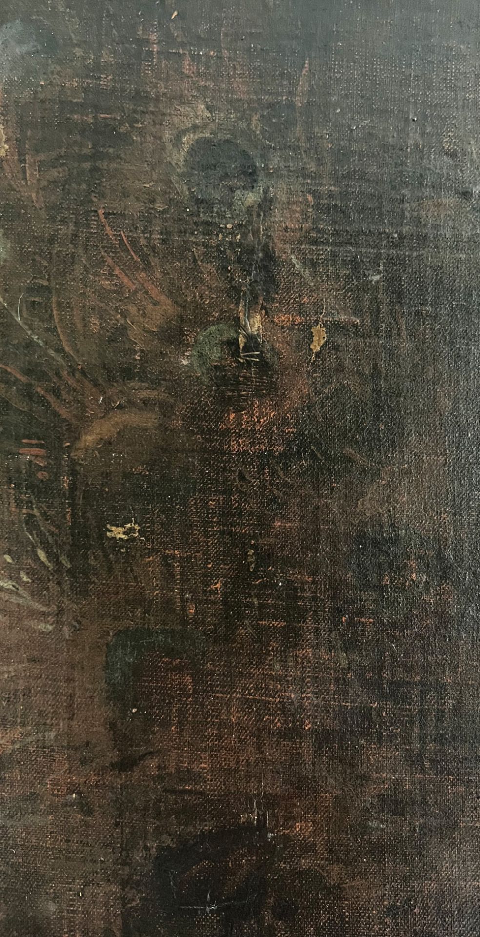 Unbekannter Künstler (18./19. Jh.), Juno halb bekleidet, in der linken oberen Ecke Pfauenfedern, - Image 4 of 7