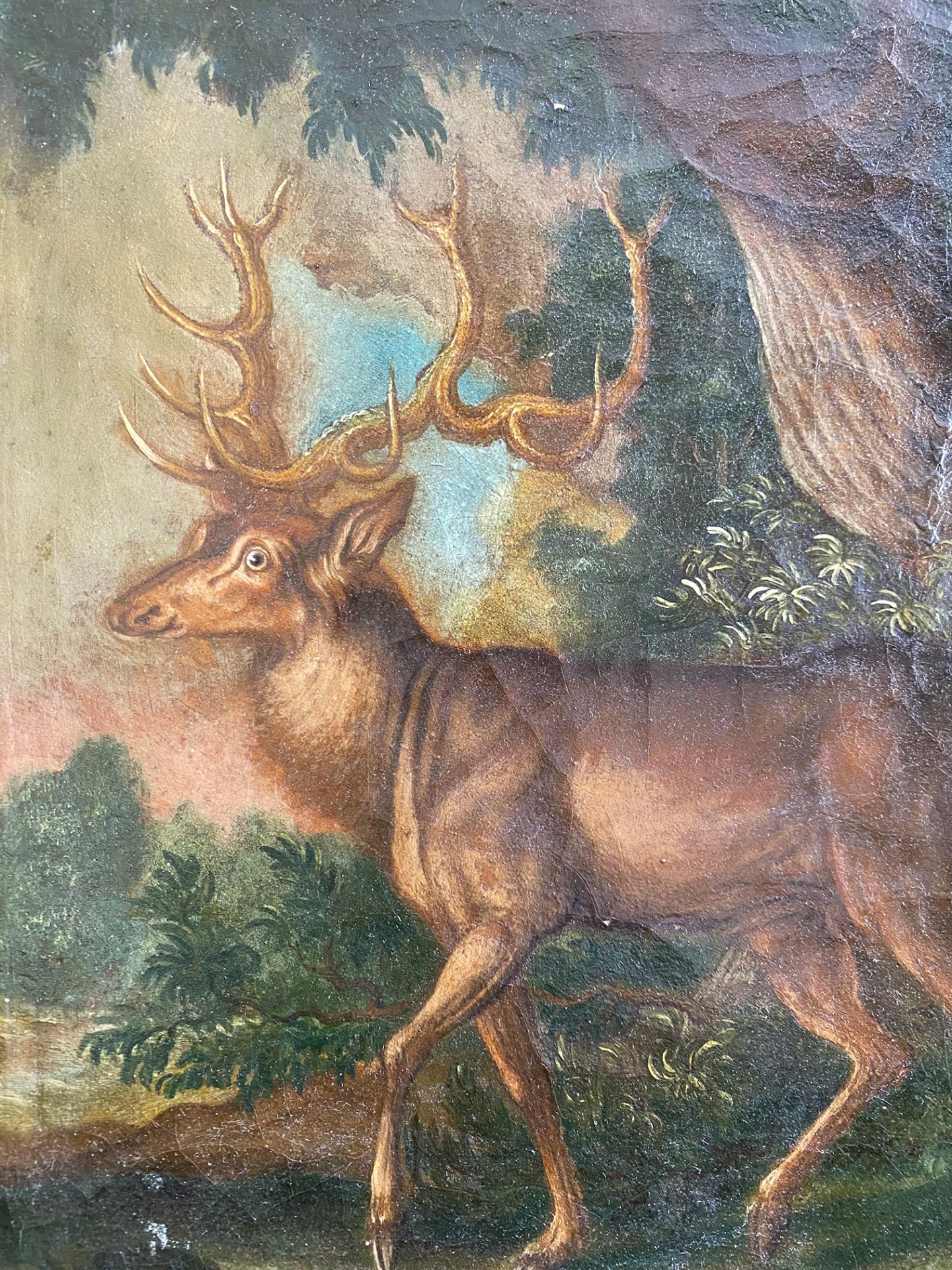 Unbekannter Maler, 18./19. Jh., Hirsch mit einem prächtigen Geweih auf einer Waldlichtung, Öl/Lwd. - Bild 3 aus 3