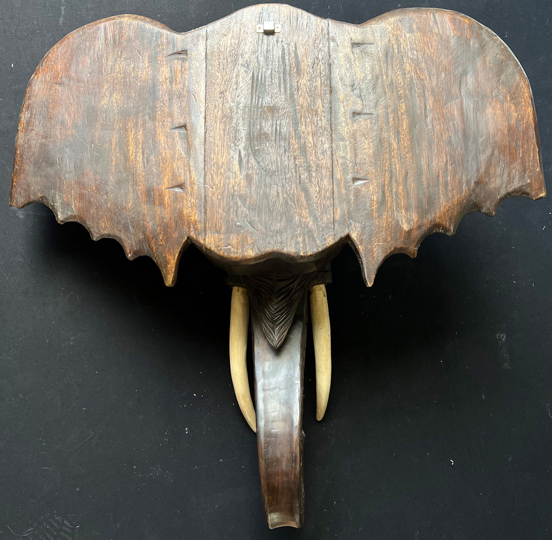 Elefantenkopf, Holz, 75 x 80 x 30 cm. Elephant head, wood, 75 x 80 x 30 cm - Image 3 of 6