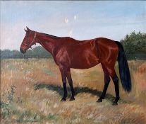 Unbekannter Künstler, um 1900, Pferd in Landschaft, signiert W.A. Rouch, Öl/Lwd, 50 x 60 cm. Unknown